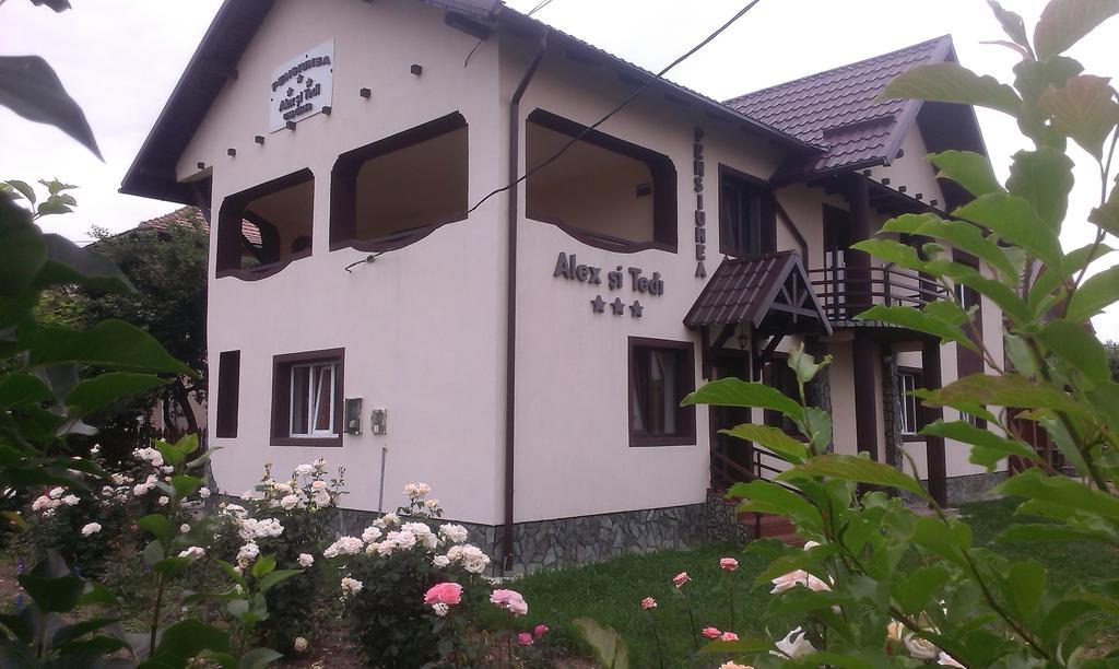 Pensiunea Alex Si Tedi Horezu Phòng bức ảnh