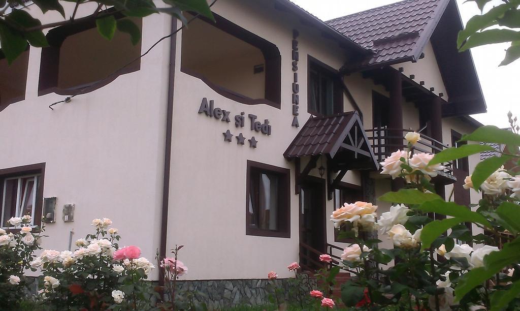 Pensiunea Alex Si Tedi Horezu Ngoại thất bức ảnh