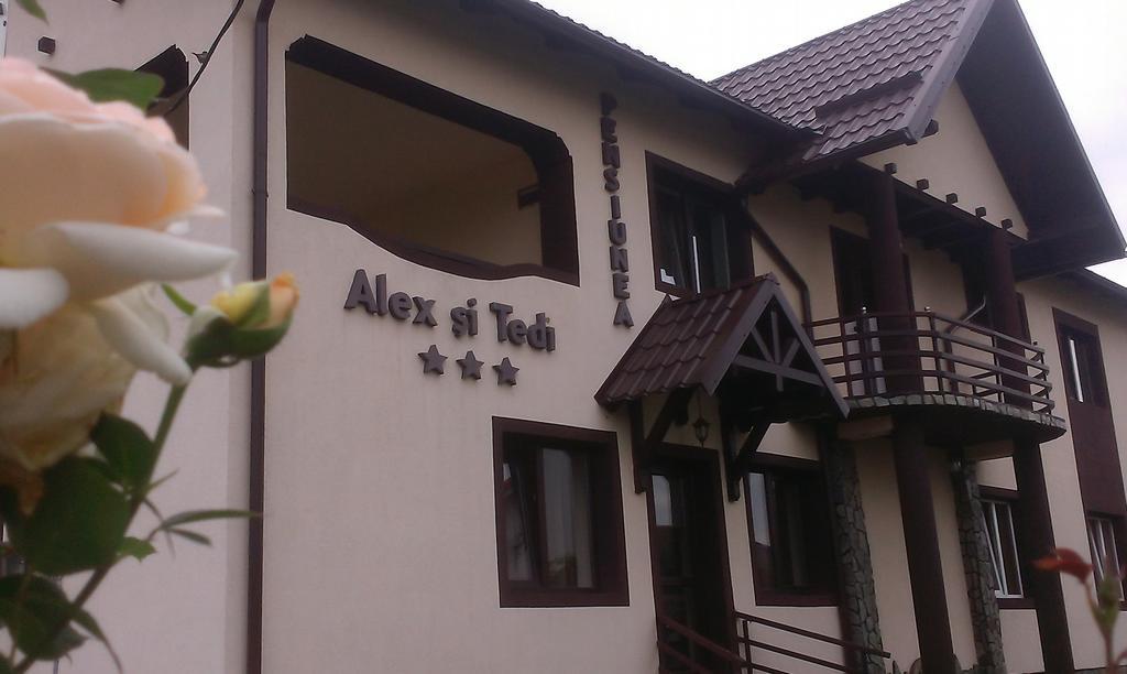 Pensiunea Alex Si Tedi Horezu Ngoại thất bức ảnh
